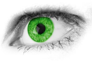 Ochrona zwierząt a produkcja