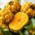 Ugli fruit – zdrowa przekąska z Jamajki pełna witamin i składników odżywczych