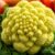 Kalafior romanesco – właściwości zdrowotne i wartości odżywcze